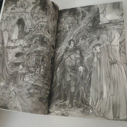 The Faceless Woman literary book like new