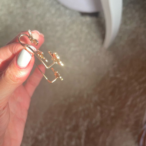 Wing earring new, impressive design
