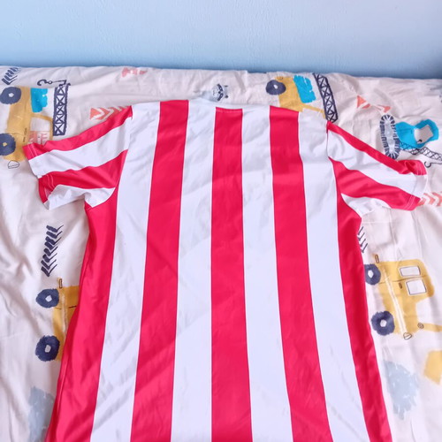 Olympiacos football jersey Puma 2012 used, size L