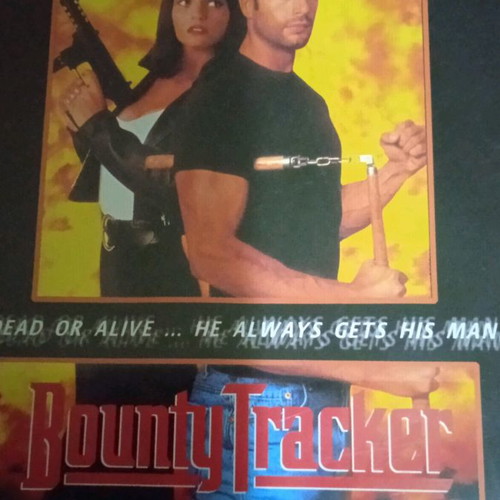Lorenzo Lamas DVD movies used, action and adventure with subtitles