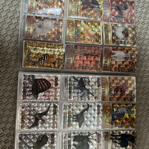 The Jungle Carouzel animal trading cards album