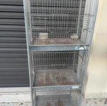 Bird cage column used, single construction