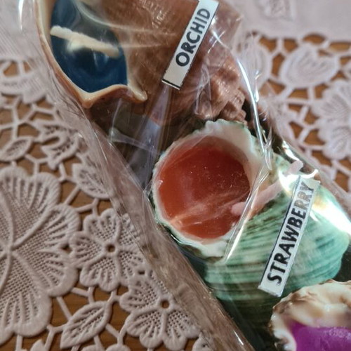 Scented candles in shell shape new