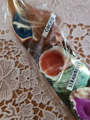 Scented candles in shell shape new