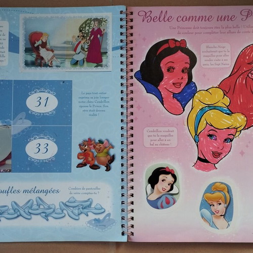 Panini Disney Princess Sticker Album used French edition