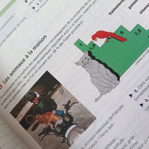 Café Crème 2 – Méthode de Français Student’s Book used, level A2–B1