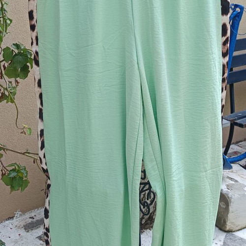 Set with Mint Color Pants and Sleeveless Leopard Print Top New