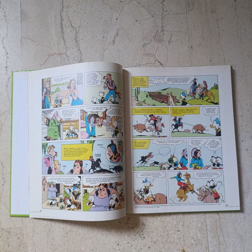 Disney comic book Stin Palia California
