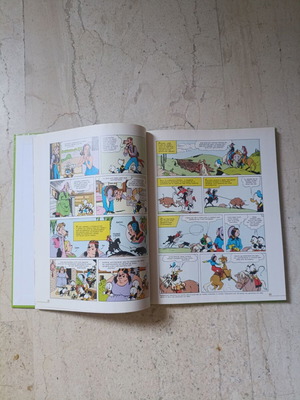 Disney comic book Stin Palia California