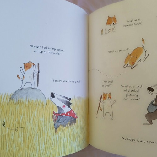 Up the Mountain by Marianne Dubuc like new, English children's book