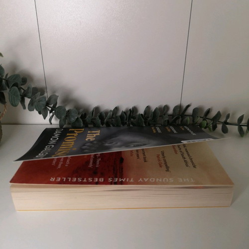 The Promise by Damon Galgut used, paperback