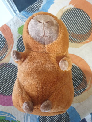 Capybara plush new, box only