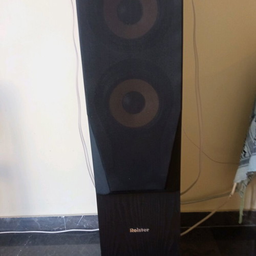 Roister Emfasis 22 150W floor speakers new