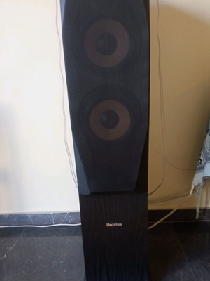 Roister Emfasis 22 150W floor speakers new