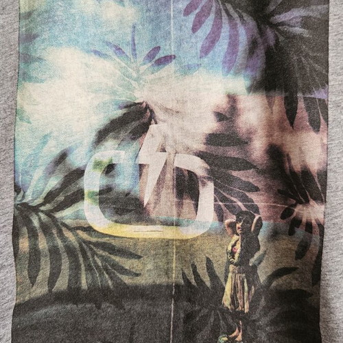 Emerson men's T-shirt with print, grey and multicolour, size M