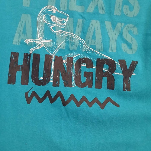 Lupilu T-Rex shirt used, size 116 cm, blue