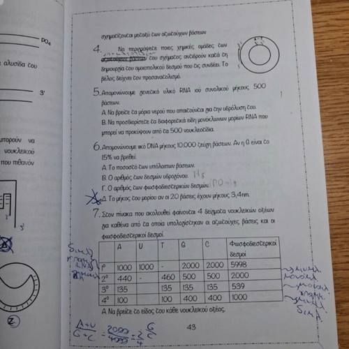 Biology Study Guides for Grade 3 Lyceum used, health direction