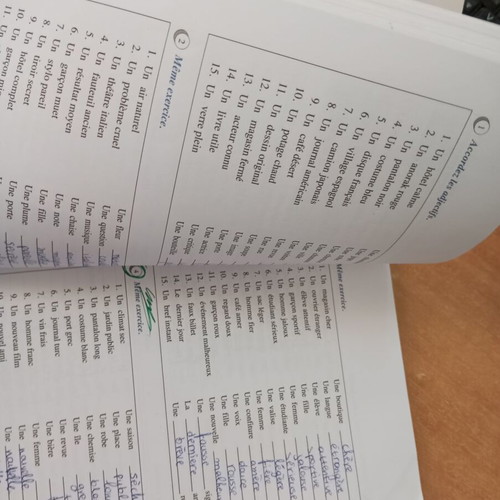 La grammaire par l'exemple et l'exercice Preparation au DELF by Joseph Roboly