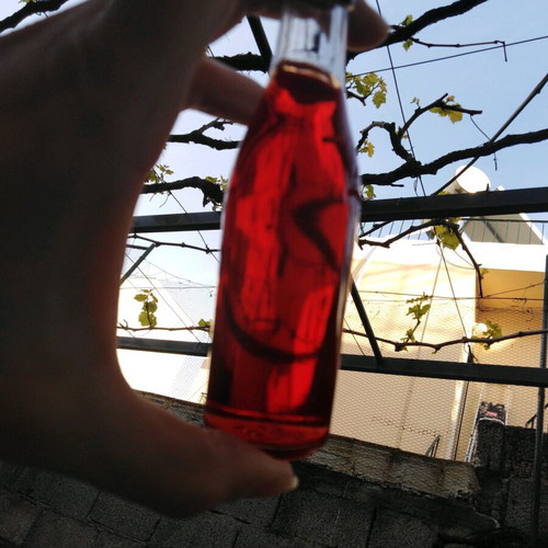 Handmade balsam oil 25 ml with olive oil and fresh flowers