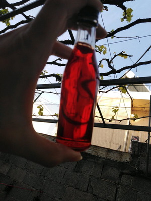 Χειροποίητο βαλσαμέλαιο 25 ml με ελαιόλαδο και φρέσκα άνθη