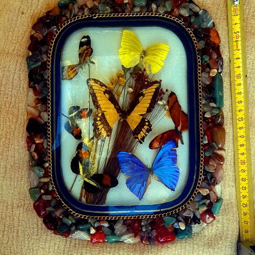 Vintage κάδρο με 7 αληθινές πεταλούδες taxidermy και κορνίζα από φυσικά πετρώματα