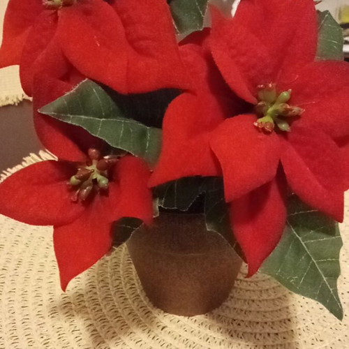 Decorative flowerpot like new