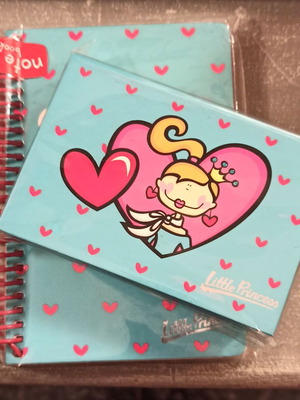 Little Princess spiral notebook and note paper box new