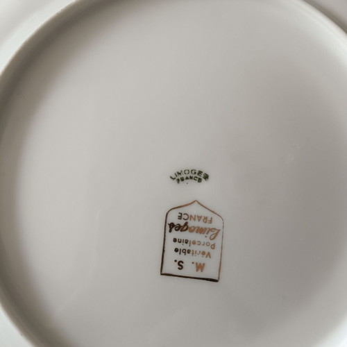 Limoges vintage plates with freshwater fish decoration, like new, set of 5