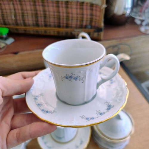 Vintage Seltmann-Weiden Julia porcelain coffee and tea set like new