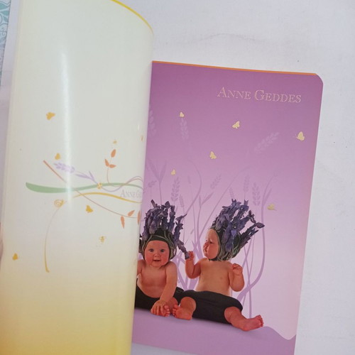 Anne Geddes notebook new