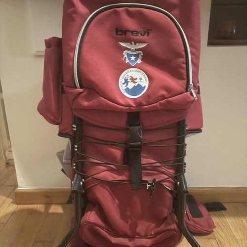 Hiking baby carrier