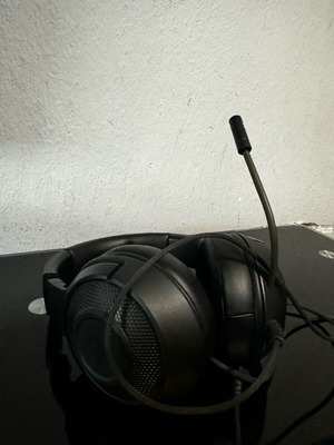 Raizer headphones used with box