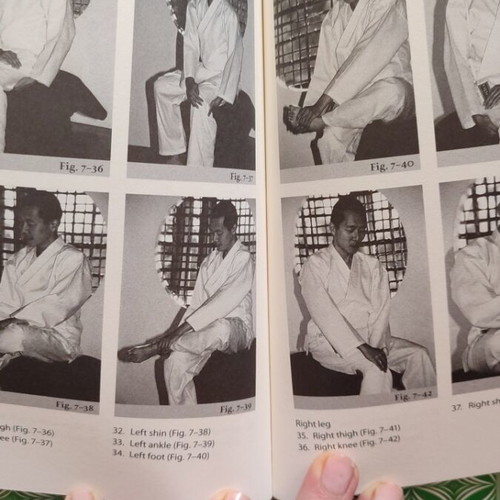 The Japanese Art of Reiki book used, hobby