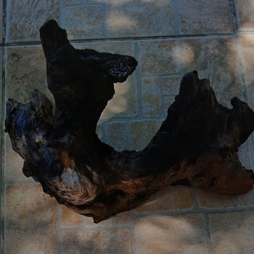 Aquarium wood decorative, used