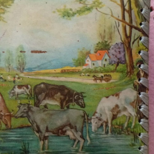 Photo album 1940 used with lithograph of rural life