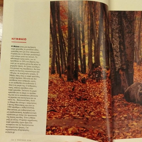 Gastronomos Magazine Issue 226 December 2024 like new