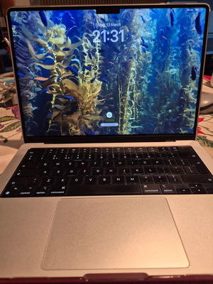 Macbook Pro 14 M1 Pro 16GB 2TB като нов