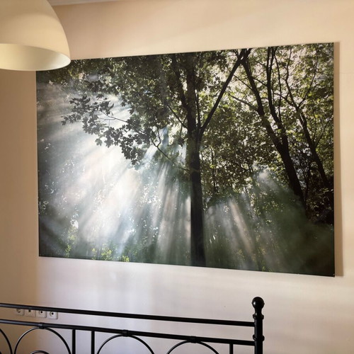 IKEA Wall Panel - Decorative Wall | BJÖRKSTA | 140 x 200 cm | “Morning in the Forest”