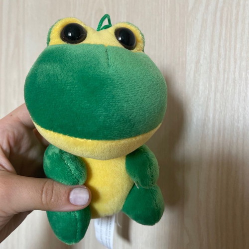 Plush Frog New Toy