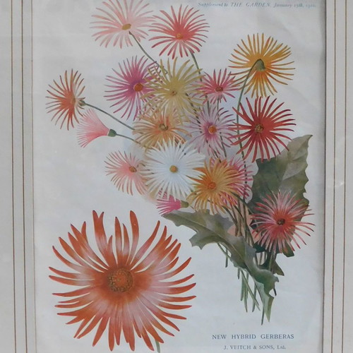 Framed print with protective glass 37 x 44 cm