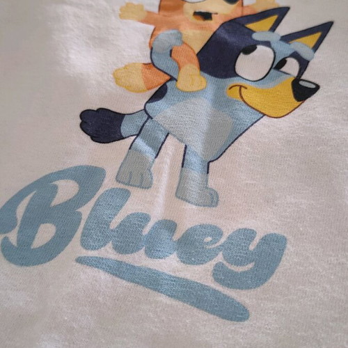 Bluey T-shirt like new, set of 2, Zara & H&M, ages 4-6