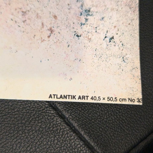 Poster with birds Atlantik art like new