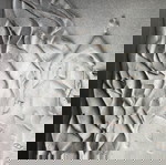  Ανάγλυφος πίνακας Μοναστηριού Ostrog 50X40cm