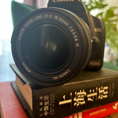 Canon EOS 450D camera used with charger and straps