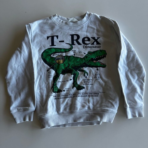 H&M Kids' Dinosaur Sweatshirt used, for 6–8 years, white