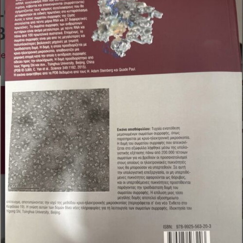 Lehninger's Basic Principles of Biochemistry 2nd Edition New, Greek