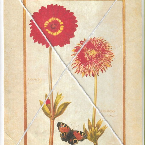 Wall decoration posters pack of 8, like new