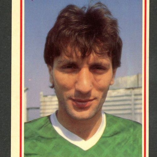 Karousel Sticker 1989 #487 used