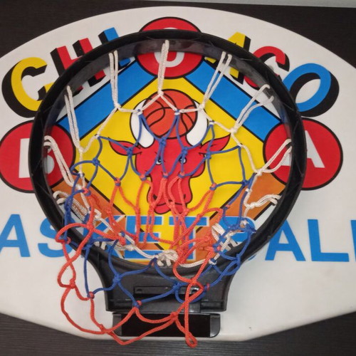 Chicago BCA Wall Basketball Hoop used with Plastic Rim and Net