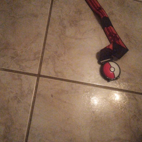 Pokemon belt used